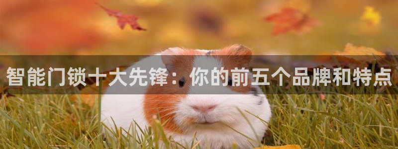 富豪哥游戏jdb：智能门锁十大先锋：你的前五个品牌和特点