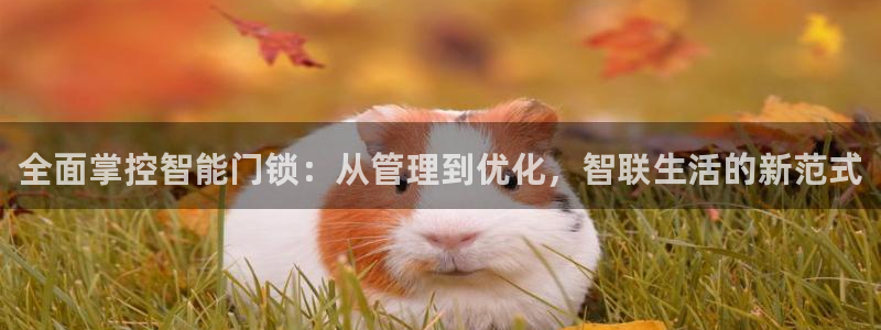 jdb电子是哪里开发的游戏：全面掌控智能门锁：从管理到优化，